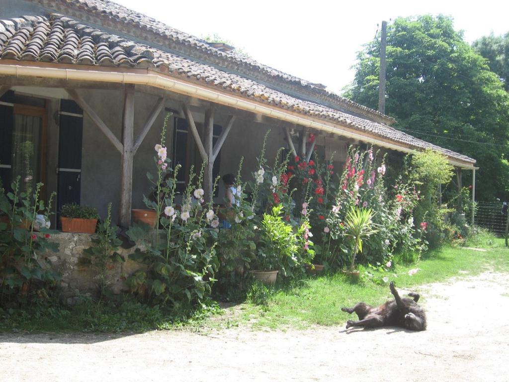 Chambres D'Hotes Le Chintre Queyssel Exterior foto